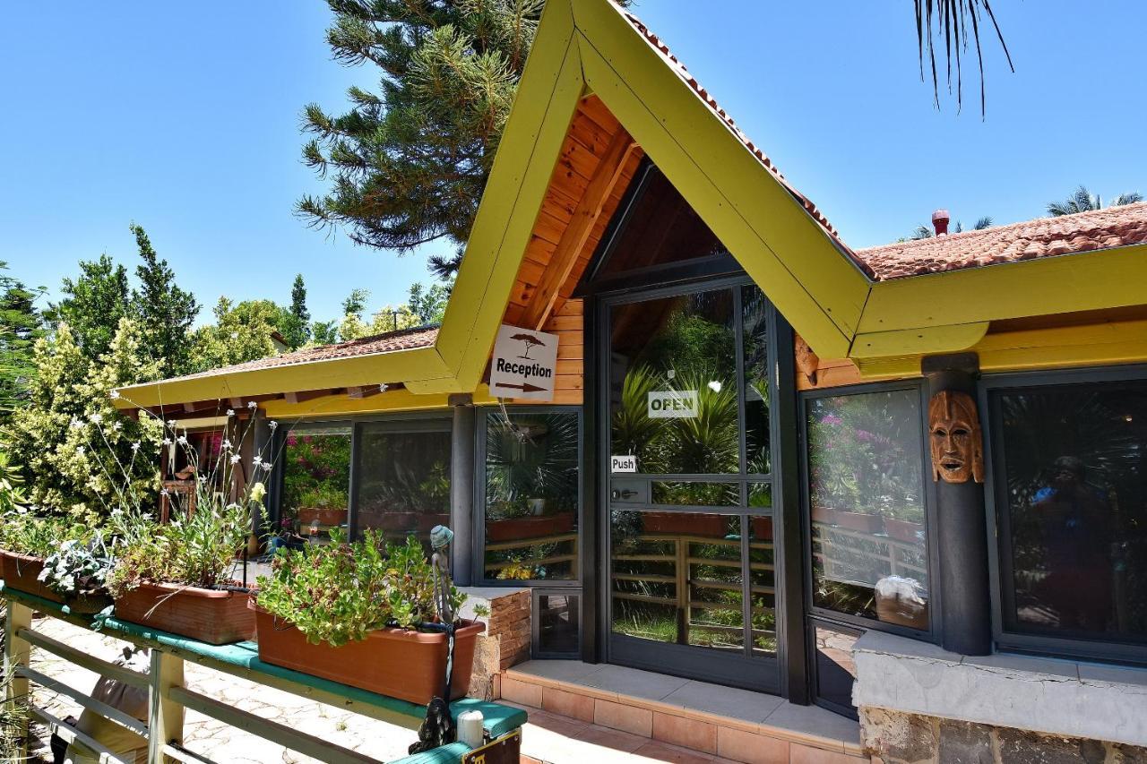 Out Of Africa Resort 해드 네스 외부 사진