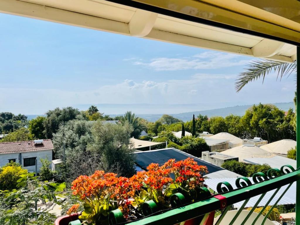 Out Of Africa Resort 해드 네스 외부 사진